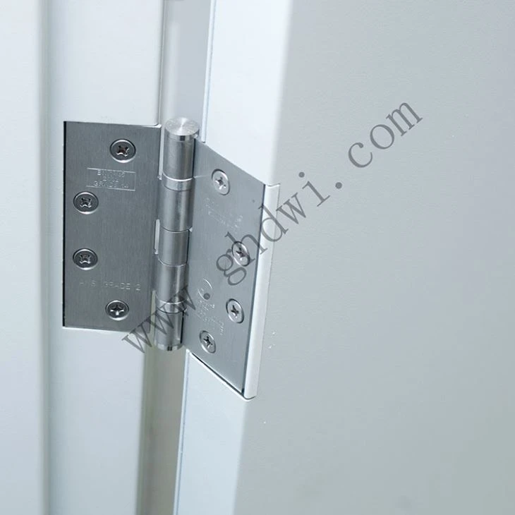 Fire Rated Door Steel
